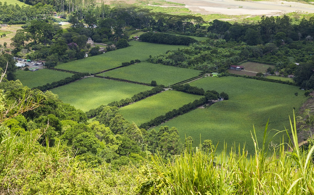 Юлия/июль/beautiful-green-field-of-costa-rican-countryside (1).jpg